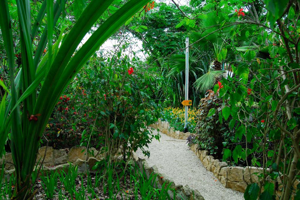 Puerto López Hosteria Mandala מראה חיצוני תמונה