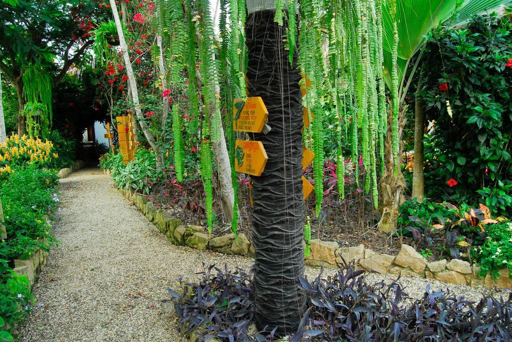 Puerto López Hosteria Mandala מראה חיצוני תמונה